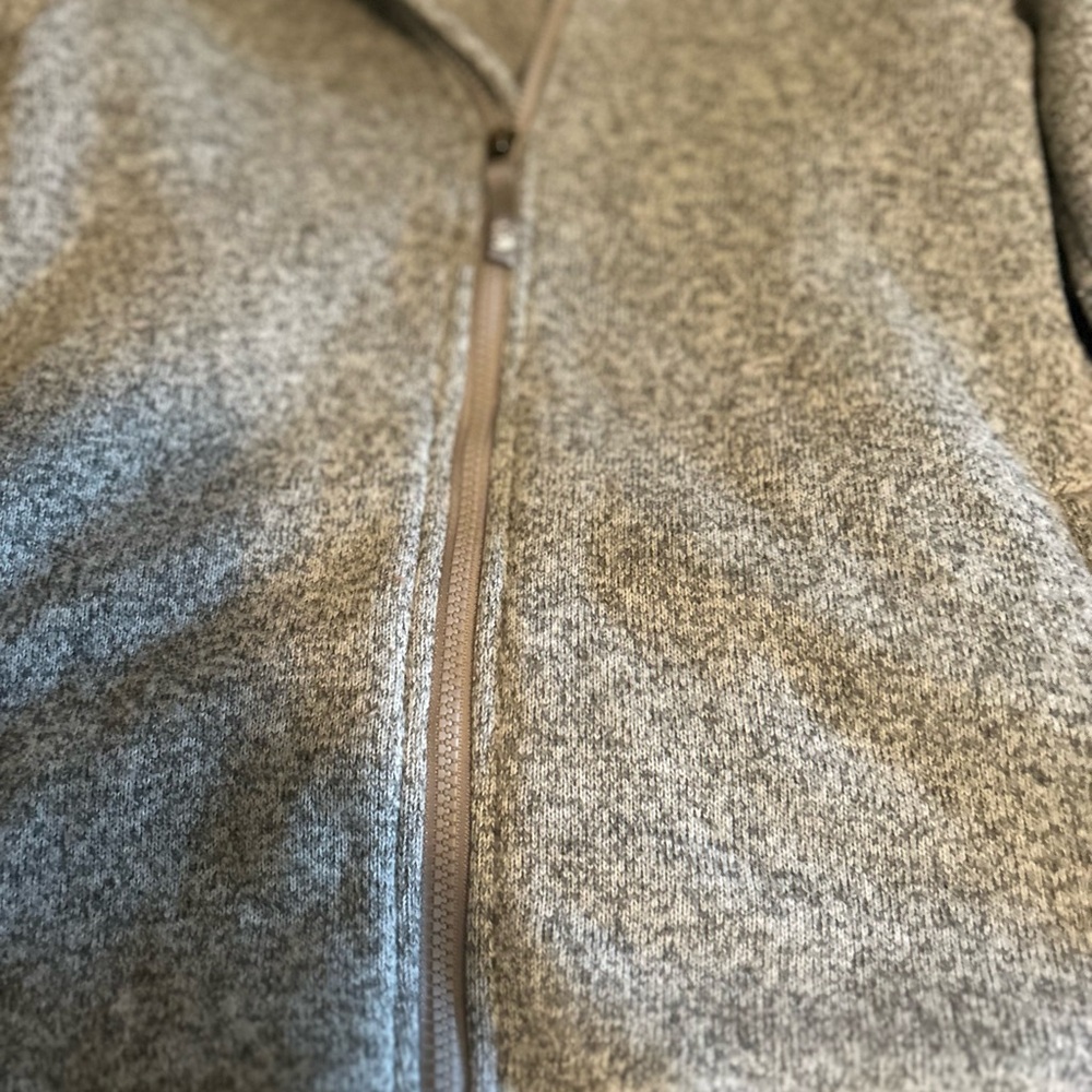 The North Face Light Gray Fleece Jacket